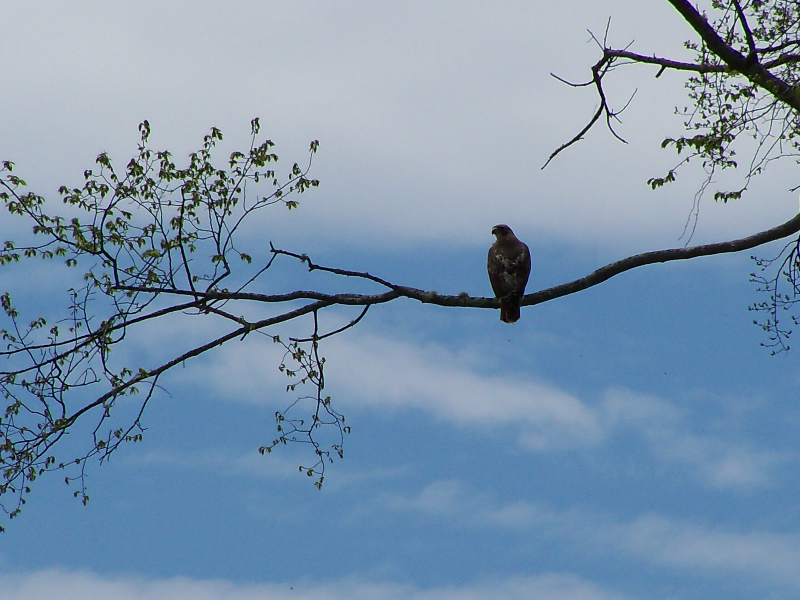 Planning to Finish Strong