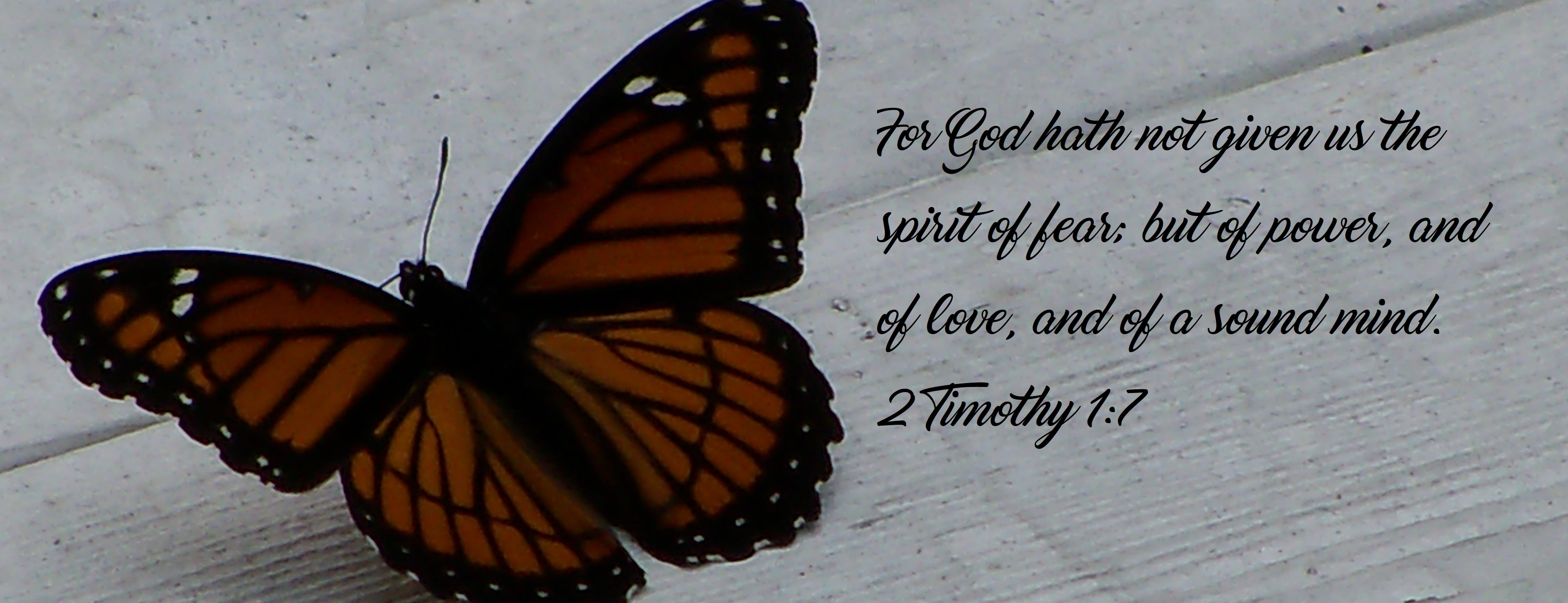 Letting Go of Fear